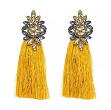 Load image into Gallery viewer, FANCIES